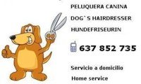 peluqueria canina